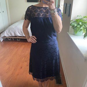 Eliza J Lace Scalloped Sheath Dress Blue Plus Size 20W